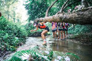 BIB: 
                            <button type="button" onclick="openModal(25444959)" class="btn btn-primary btn-sm float-right btn-popup" data-toggle="modal" data-target=".modal-high-quality">
                        <i class="fas fa-shopping-cart"></i> Add to Cart
                    </button>
                                            <button type="button" onclick="isThisMe(25444959, true)" class="btn btn-success btn-sm float-right btn-popup btn-isme hidden" data-toggle="tooltip" data-placement="bottom" title="นี่คือรูปของคุณใช่ไหม คลิกที่นี่เพื่อเอาเข้าอัลบั้ม">
                        <i class="fas fa-plus"></i> Add to album
                    </button>
                    <button type="button" onclick="isThisMe(25444959, false)" class="btn btn-warning btn-sm float-right btn-popup btn-isnotme hidden">
                        <i class="fas fa-ban"></i> Remove from album
                    </button>